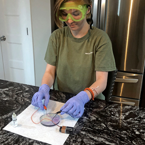 Monohybrid genetics kit