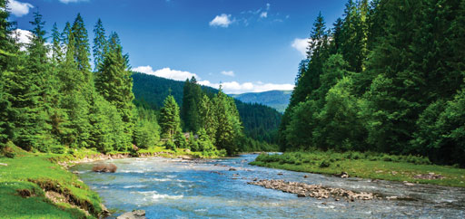 landscape with mountains, forest and a river in front
