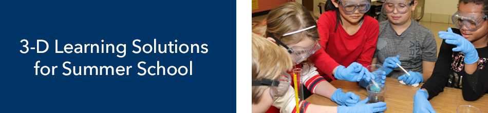 3d learning solutions for summer school header graphic