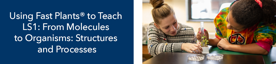 Using Fast Plants® to Teach LS1: From Molecules to Organisms: Structures and Processes header graphic