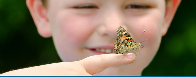 boy with a painted lady butterfly on his finger