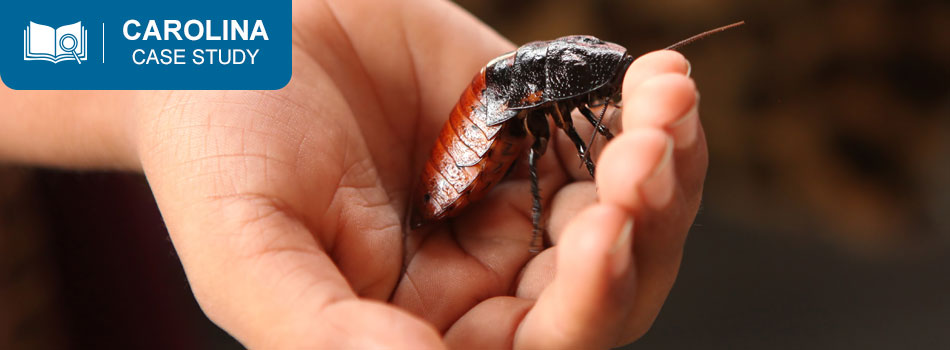 student holding a hissing cockroach