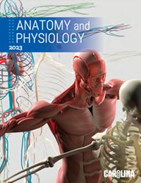 Carolina Anatomy & Physiology catalog