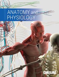 Carolina Anatomy & Physiology catalog