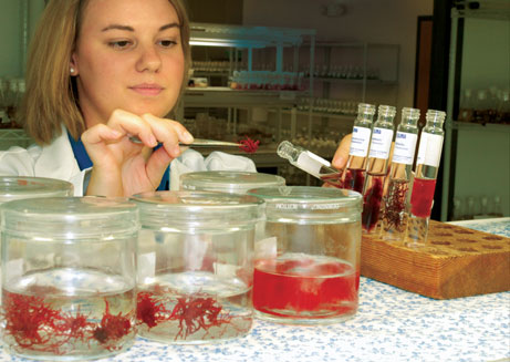 Technician sampling algae cultures