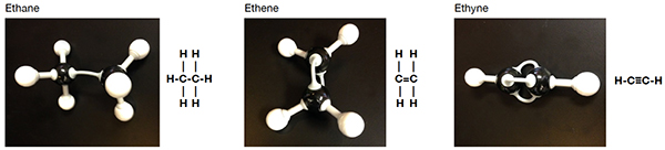 examples of Polyethylene chains and branches
