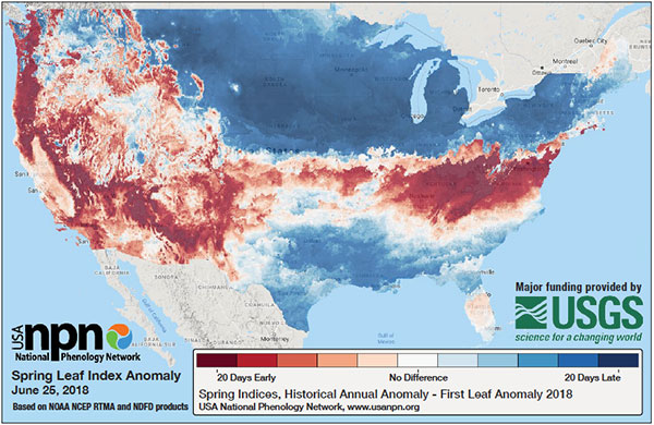 spring leaf index anomaly map