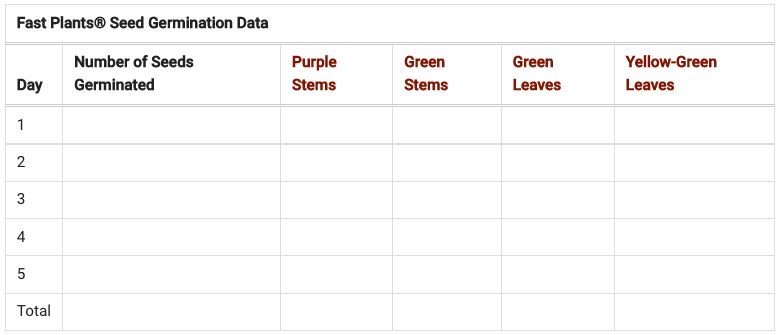 data and observations table