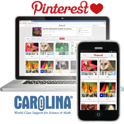 Enter in your board in Carolina's Pinterest Contest!