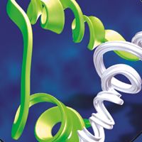 Enzyme