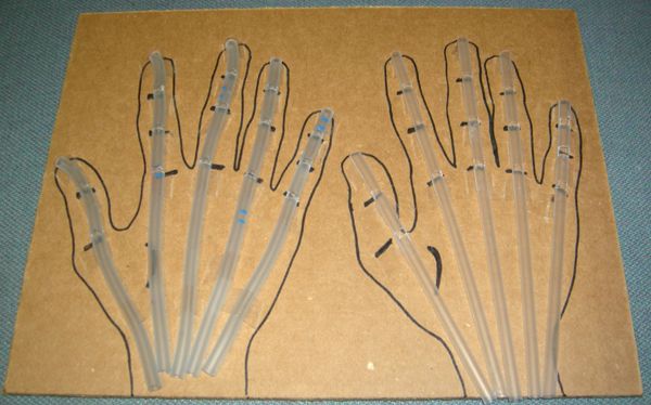Flex and Extend: Modeling a Human Hand | Carolina.com