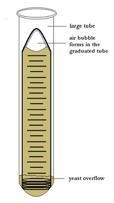 Living Organisms Care Fermentation Tube