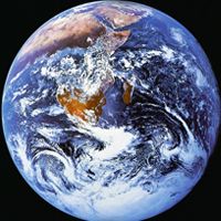 Living Organisms Care Coriolis Effect
