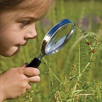 Student examines a plant in the schoolyard