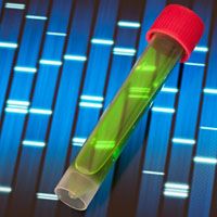 Genetic witness