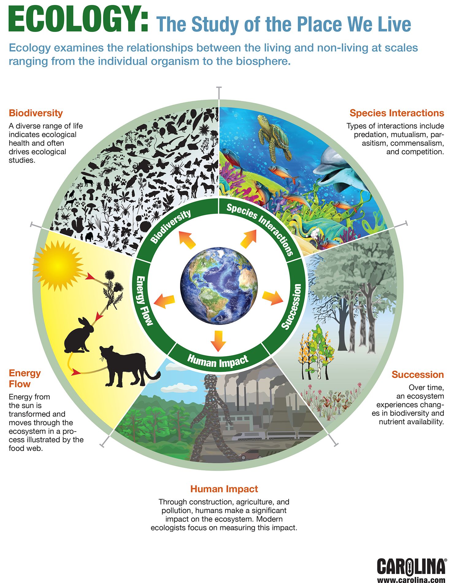 Infographic: Ecology: The Study of the Place We Live