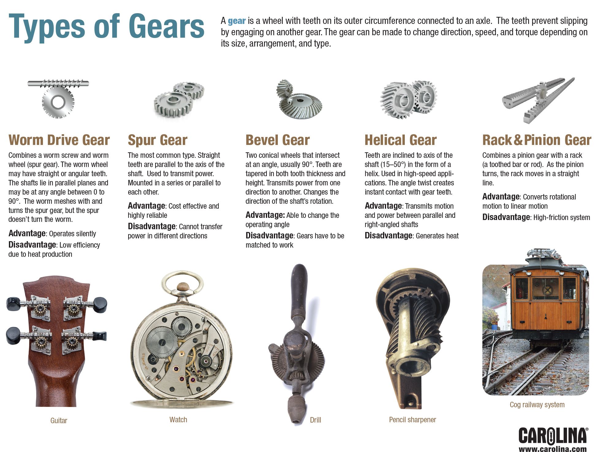 Infographic: Types Of Gears