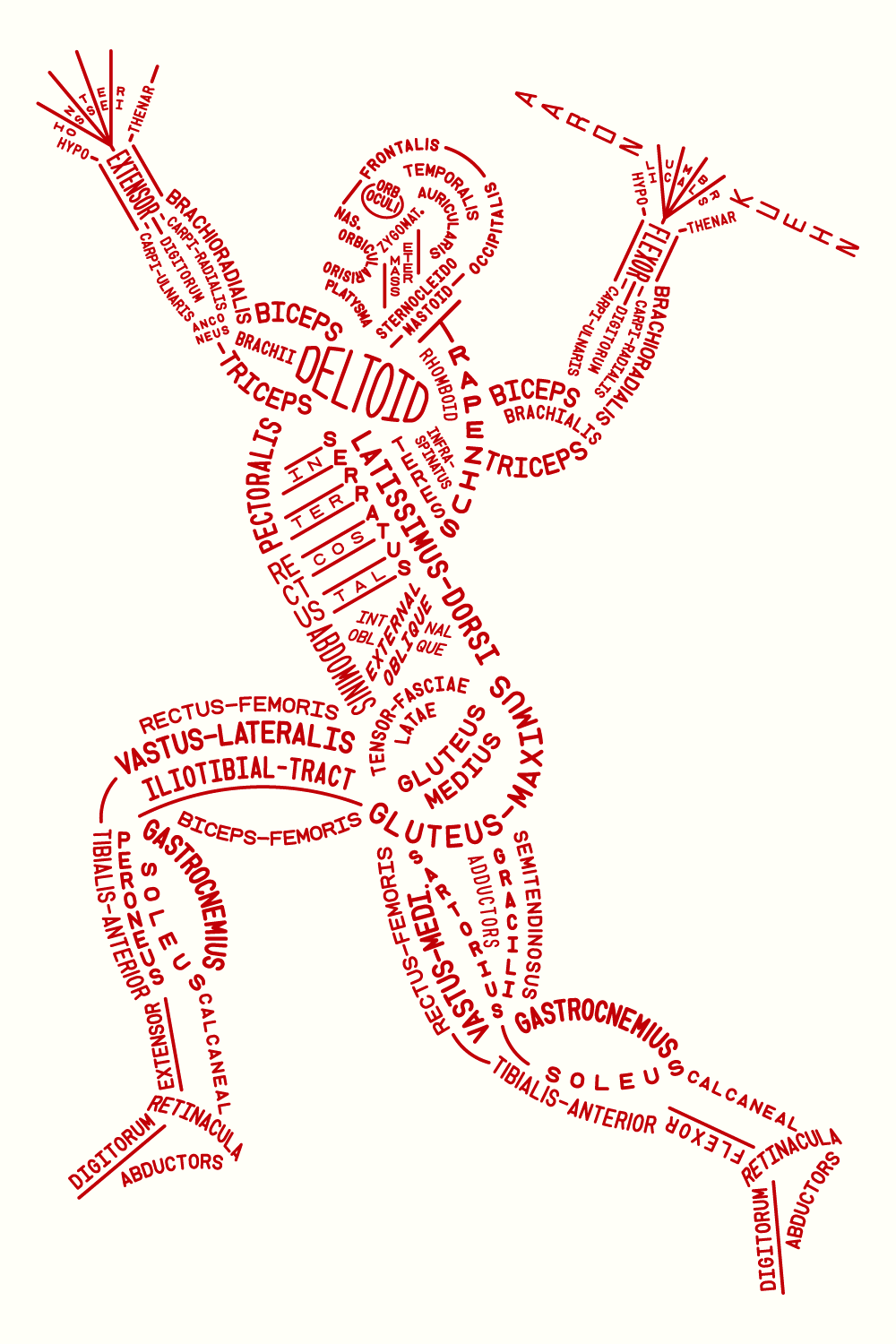 Muscular Typogram