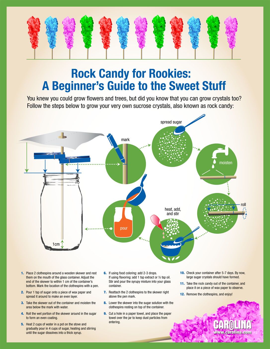 Infographic - Rock Candy for Rookies: A Beginner's Guide to the Sweet Stuff