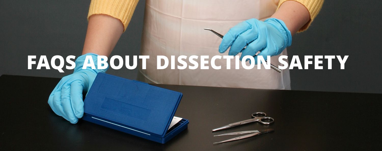 Dissection FAQs