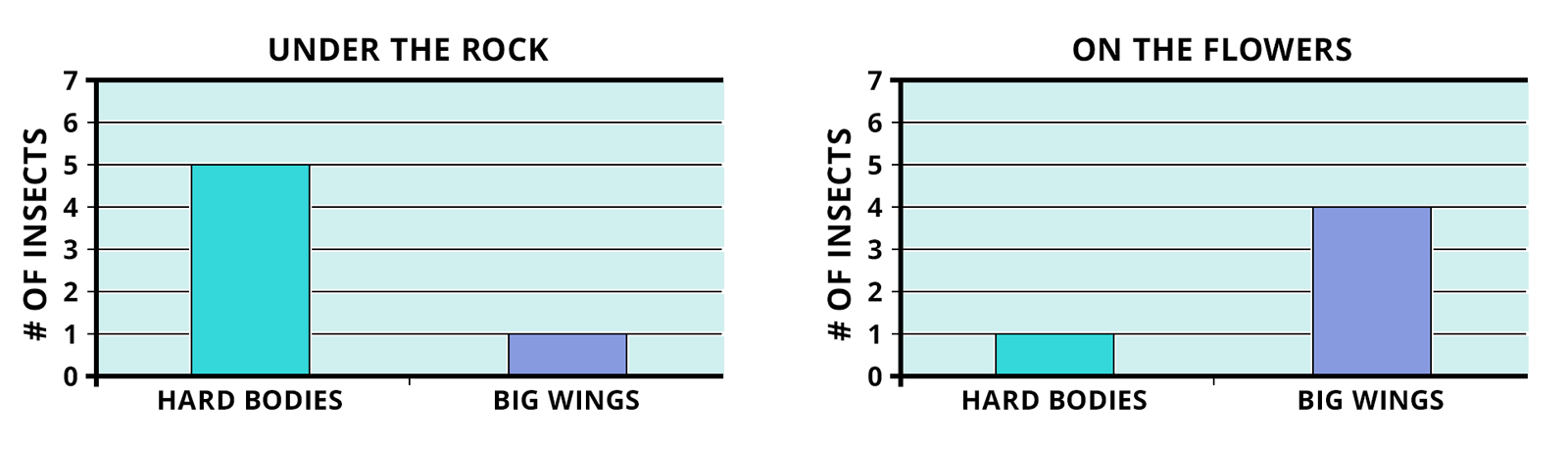 Sample data showing body types of insects found in different locations of a schoolyard