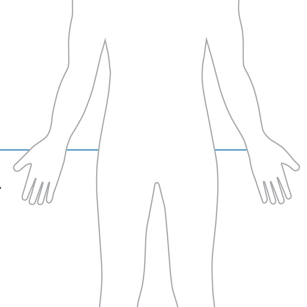 Human Body: Endocrine System Review | Carolina.com