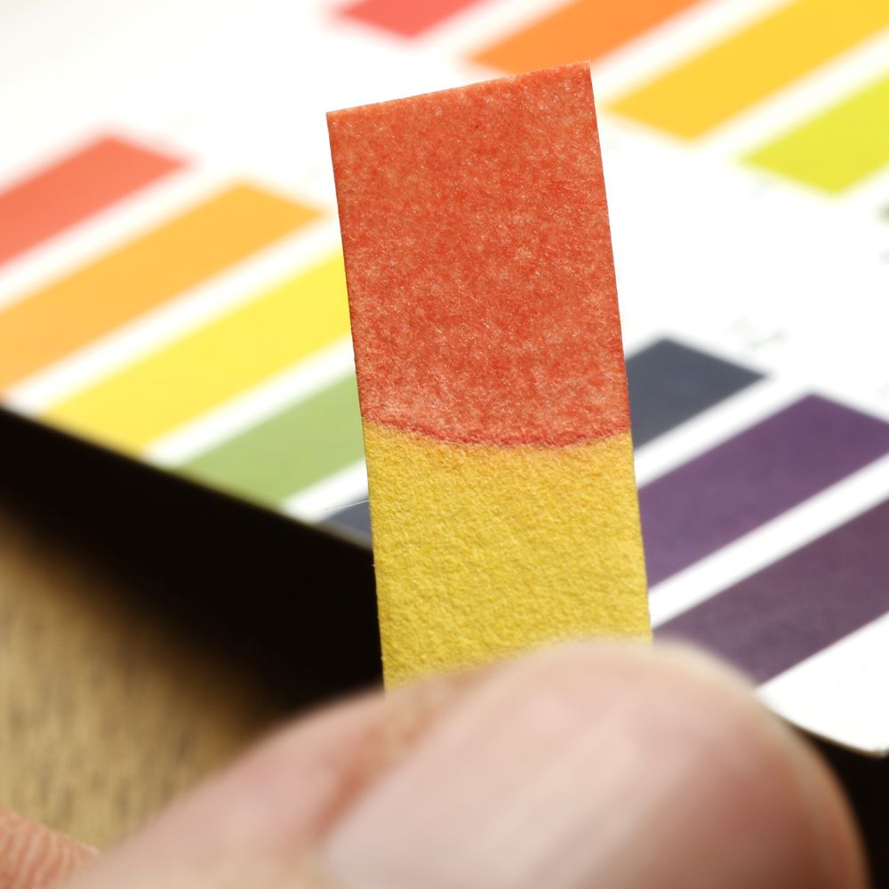 Measuring pH: Indicators, Paper, and Meters