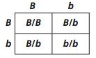 punnett square showing cross between two heterozygote parents