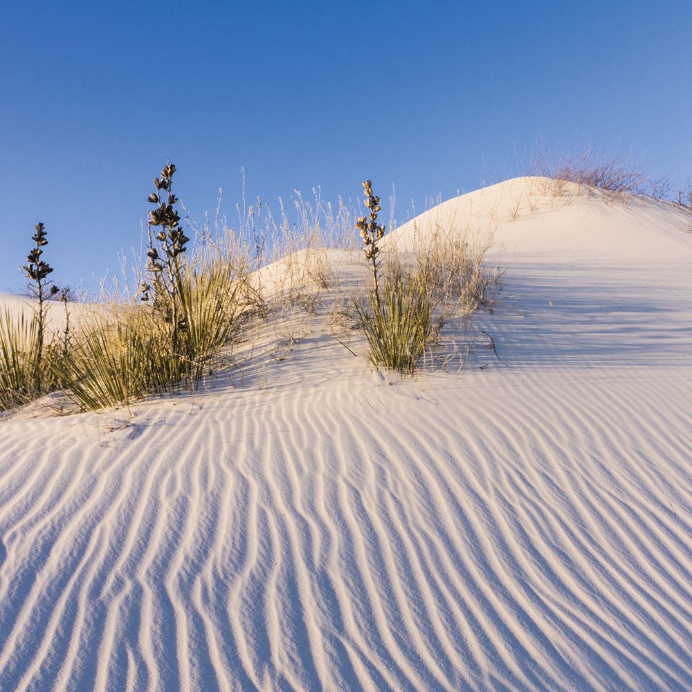 sand dune