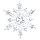 Holiday Demonstrations and Activities
