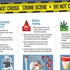 Infographic - Chain of Custody: From the Field to the Lab