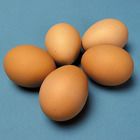 Cooking Eggs with Chemicals