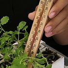 Summer Science