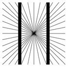 Optical Illusions