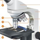 Infographic Get To Know Your Microscope