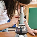 How to Make Microscope Slides for Science Fair Projects