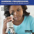 Learning Progressions