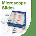 How to Handle, Store, and Repair Microscope Slides