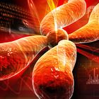 RNA Interference: Turning Genes Off Without Mutating Them