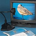 Creative Uses for Video Cameras in the Classroom