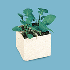 Wisconsin Fast Plants Grower’s Calendar