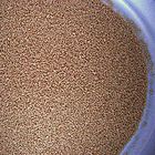 Using Yeast to Understand Cellular Processes