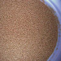 Baker's Yeast
