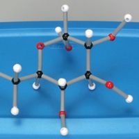 Molecular model