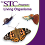 Stc Kindergarten Living Materials Order Sheets Exploring Plants And Animals Set Of 2